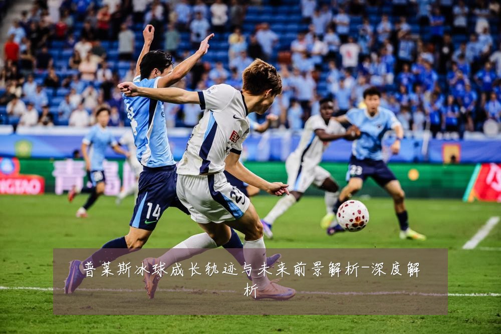 普莱斯冰球成长轨迹与未来前景解析-深度解析
