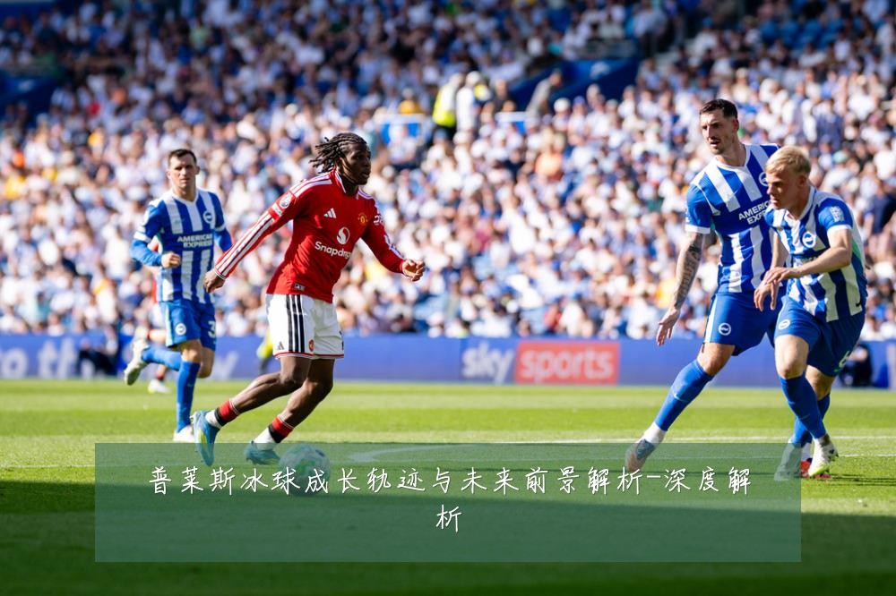 普莱斯冰球成长轨迹与未来前景解析-深度解析