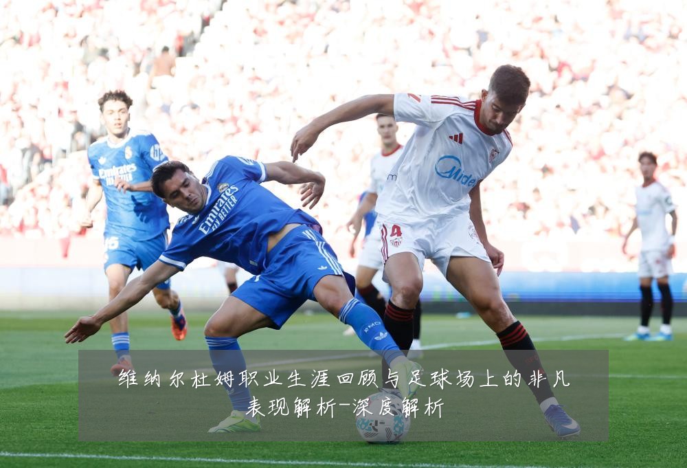 维纳尔杜姆职业生涯回顾与足球场上的非凡表现解析-深度解析